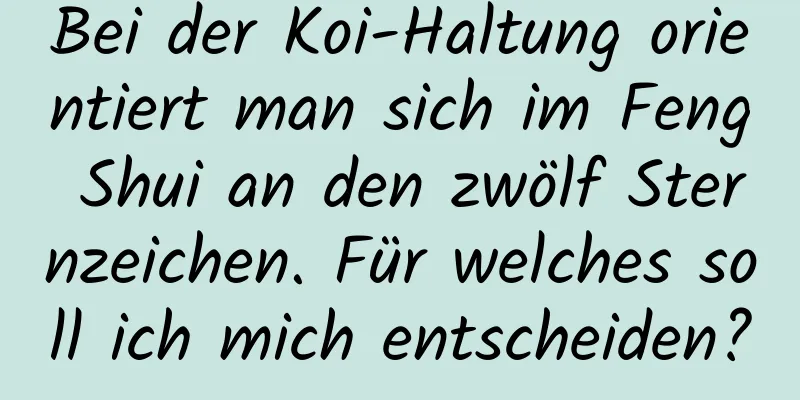 Bei der Koi-Haltung orientiert man sich im Feng Shui an den zwölf Sternzeichen. Für welches soll ich mich entscheiden?