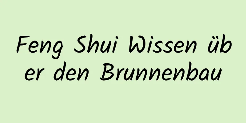 Feng Shui Wissen über den Brunnenbau