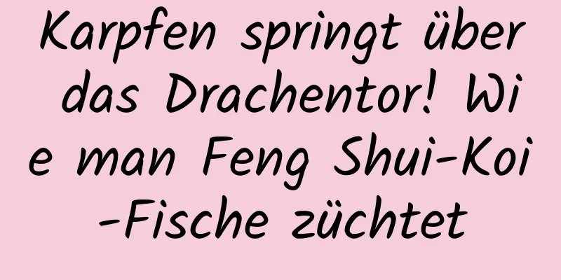 Karpfen springt über das Drachentor! Wie man Feng Shui-Koi-Fische züchtet