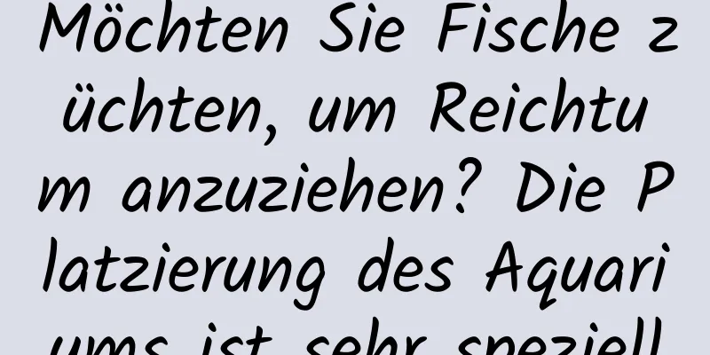 Möchten Sie Fische züchten, um Reichtum anzuziehen? Die Platzierung des Aquariums ist sehr speziell