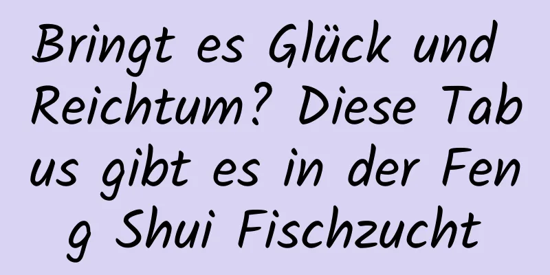 Bringt es Glück und Reichtum? Diese Tabus gibt es in der Feng Shui Fischzucht