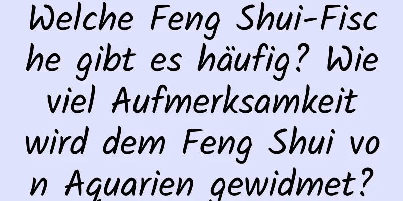 Welche Feng Shui-Fische gibt es häufig? Wie viel Aufmerksamkeit wird dem Feng Shui von Aquarien gewidmet?