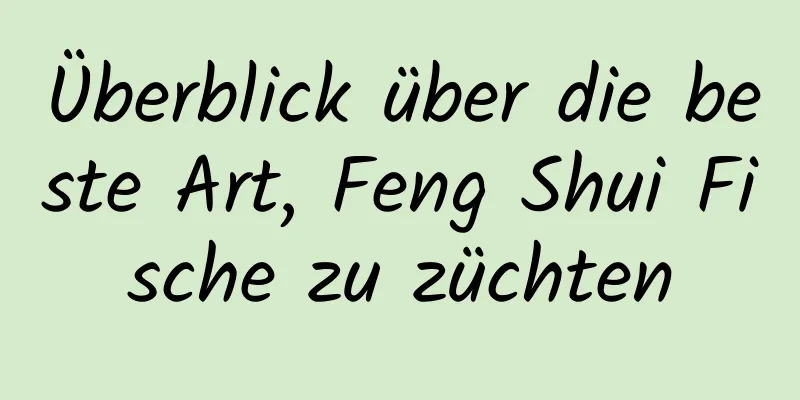 Überblick über die beste Art, Feng Shui Fische zu züchten