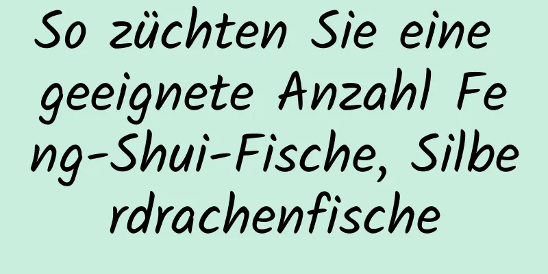 So züchten Sie eine geeignete Anzahl Feng-Shui-Fische, Silberdrachenfische