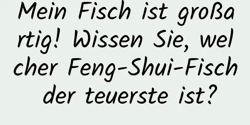 Mein Fisch ist großartig! Wissen Sie, welcher Feng-Shui-Fisch der teuerste ist?