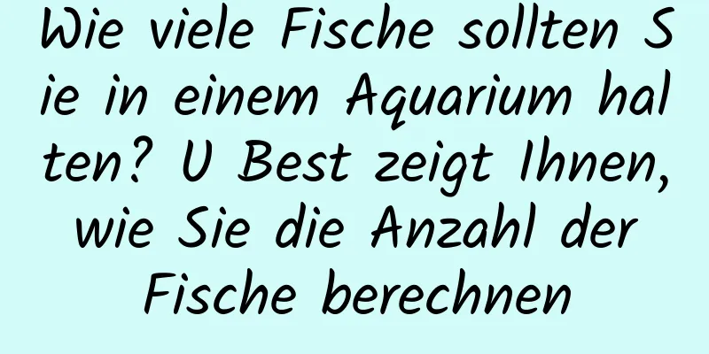 Wie viele Fische sollten Sie in einem Aquarium halten? U Best zeigt Ihnen, wie Sie die Anzahl der Fische berechnen