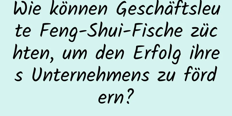 Wie können Geschäftsleute Feng-Shui-Fische züchten, um den Erfolg ihres Unternehmens zu fördern?