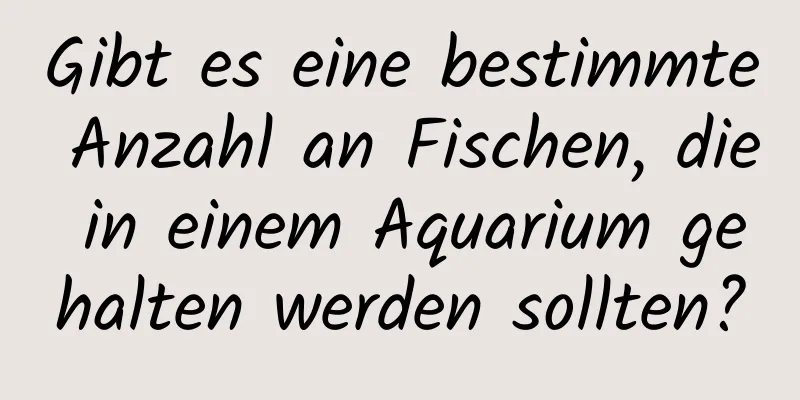 Gibt es eine bestimmte Anzahl an Fischen, die in einem Aquarium gehalten werden sollten?