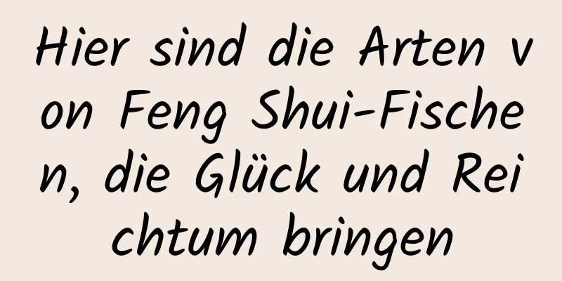 Hier sind die Arten von Feng Shui-Fischen, die Glück und Reichtum bringen