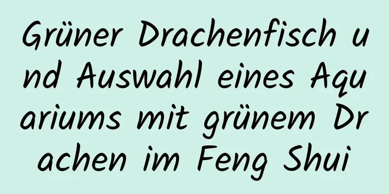 Grüner Drachenfisch und Auswahl eines Aquariums mit grünem Drachen im Feng Shui