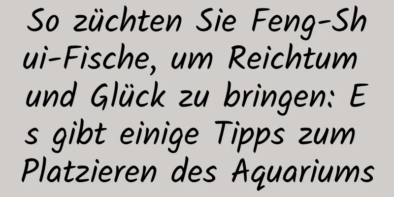 So züchten Sie Feng-Shui-Fische, um Reichtum und Glück zu bringen: Es gibt einige Tipps zum Platzieren des Aquariums