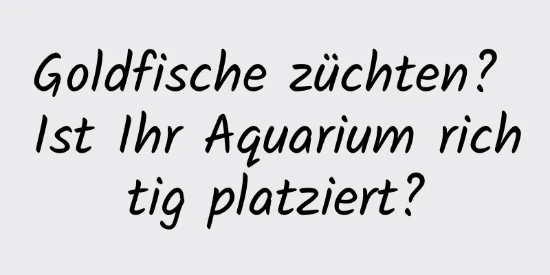 Goldfische züchten? Ist Ihr Aquarium richtig platziert?