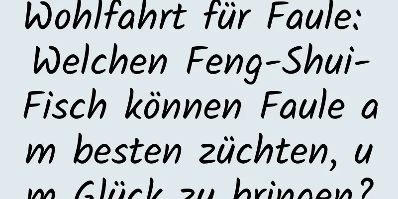 Wohlfahrt für Faule: Welchen Feng-Shui-Fisch können Faule am besten züchten, um Glück zu bringen?