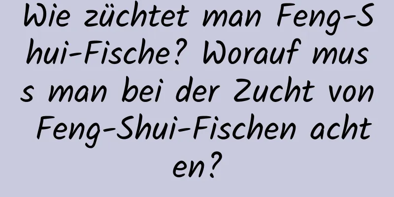 Wie züchtet man Feng-Shui-Fische? Worauf muss man bei der Zucht von Feng-Shui-Fischen achten?