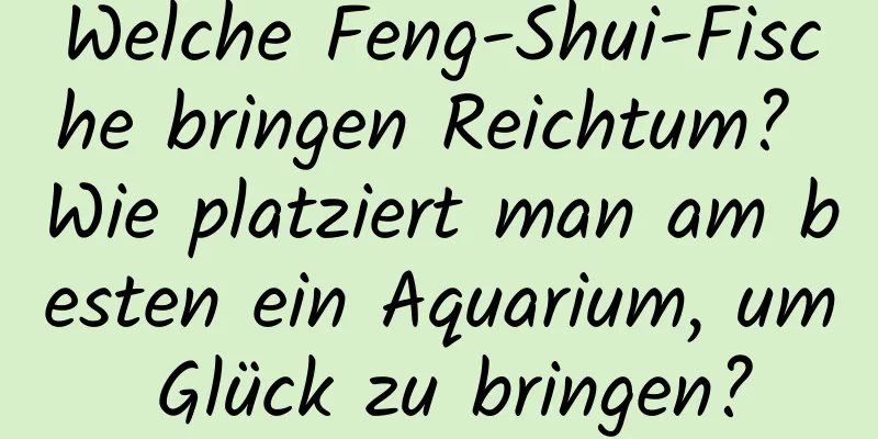 Welche Feng-Shui-Fische bringen Reichtum? Wie platziert man am besten ein Aquarium, um Glück zu bringen?