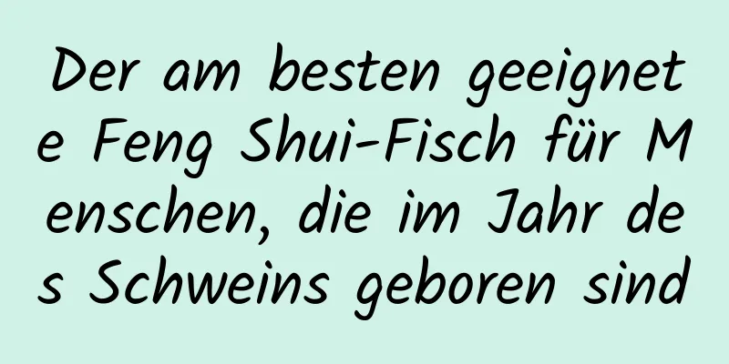 Der am besten geeignete Feng Shui-Fisch für Menschen, die im Jahr des Schweins geboren sind