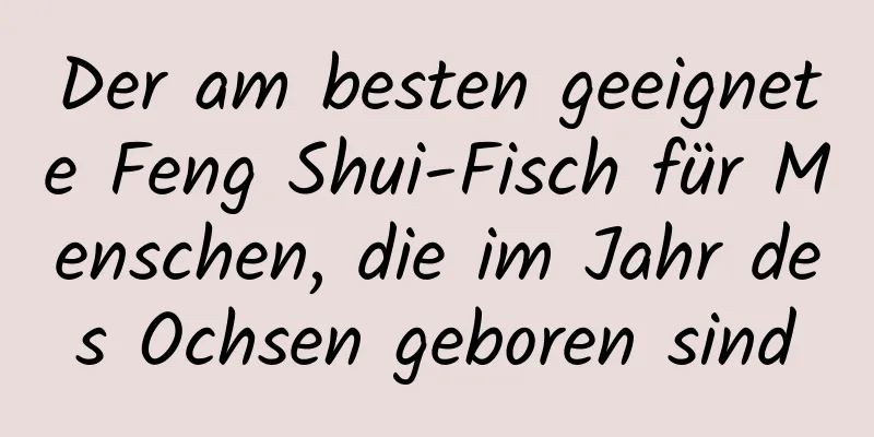 Der am besten geeignete Feng Shui-Fisch für Menschen, die im Jahr des Ochsen geboren sind