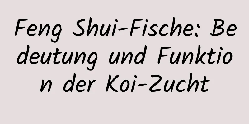 Feng Shui-Fische: Bedeutung und Funktion der Koi-Zucht