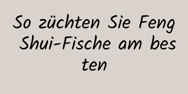 So züchten Sie Feng Shui-Fische am besten