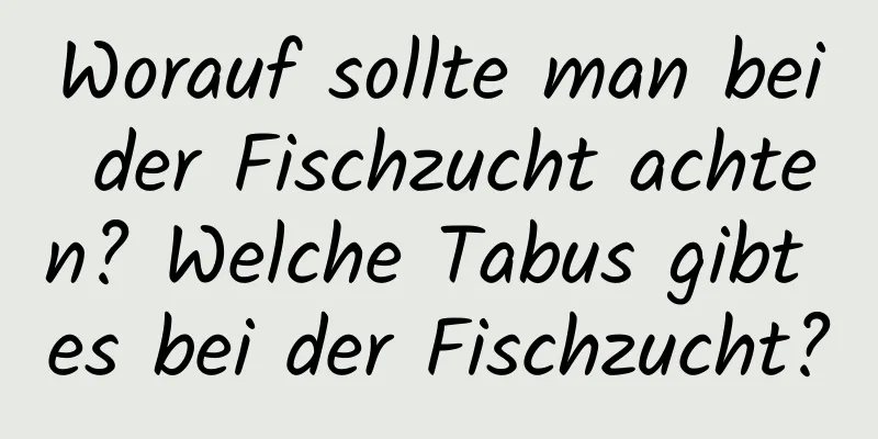 Worauf sollte man bei der Fischzucht achten? Welche Tabus gibt es bei der Fischzucht?