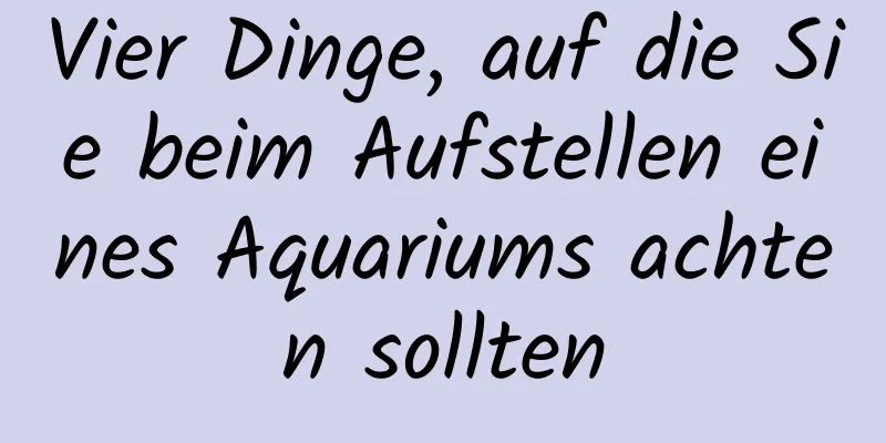 Vier Dinge, auf die Sie beim Aufstellen eines Aquariums achten sollten