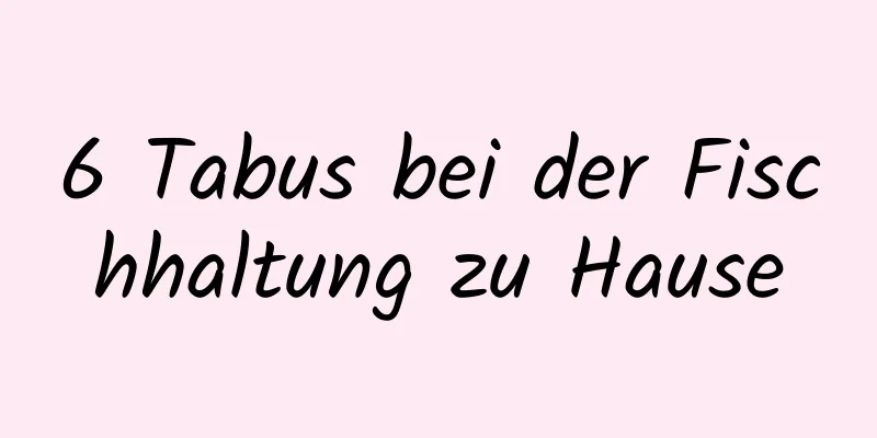 6 Tabus bei der Fischhaltung zu Hause