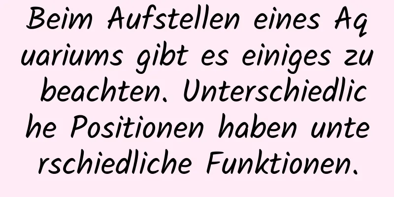 Beim Aufstellen eines Aquariums gibt es einiges zu beachten. Unterschiedliche Positionen haben unterschiedliche Funktionen.