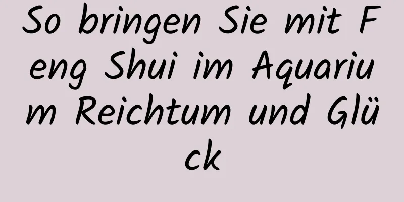 So bringen Sie mit Feng Shui im ​​Aquarium Reichtum und Glück