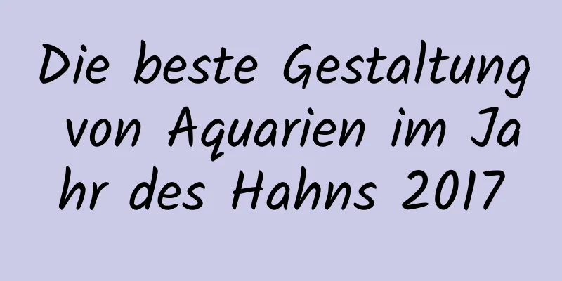 Die beste Gestaltung von Aquarien im Jahr des Hahns 2017