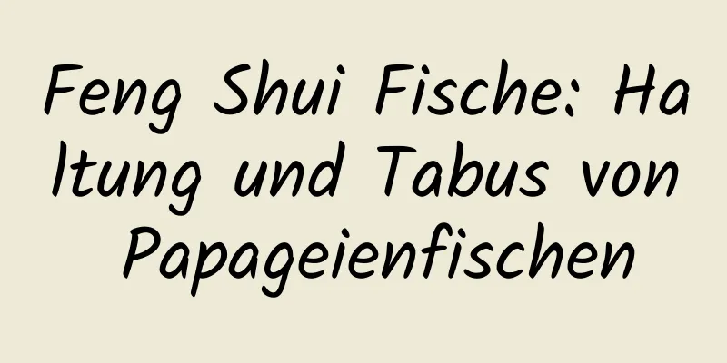 Feng Shui Fische: Haltung und Tabus von Papageienfischen