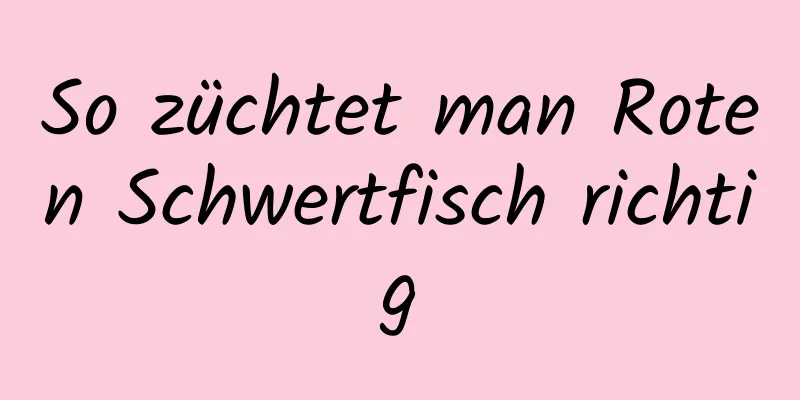 So züchtet man Roten Schwertfisch richtig