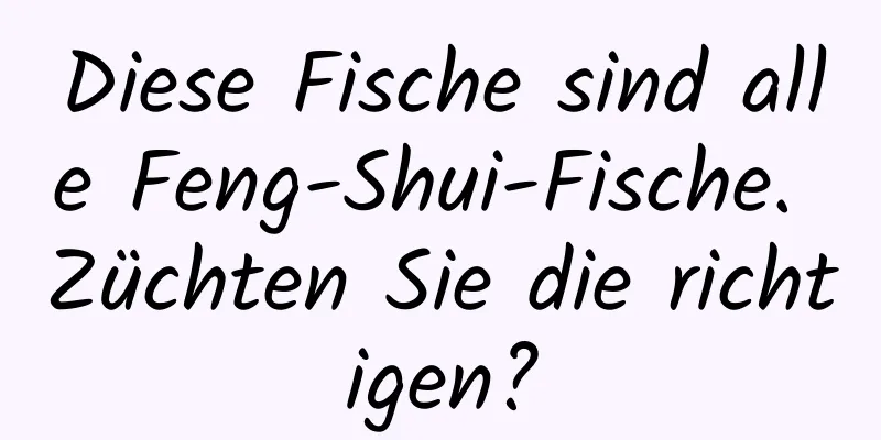 Diese Fische sind alle Feng-Shui-Fische. Züchten Sie die richtigen?