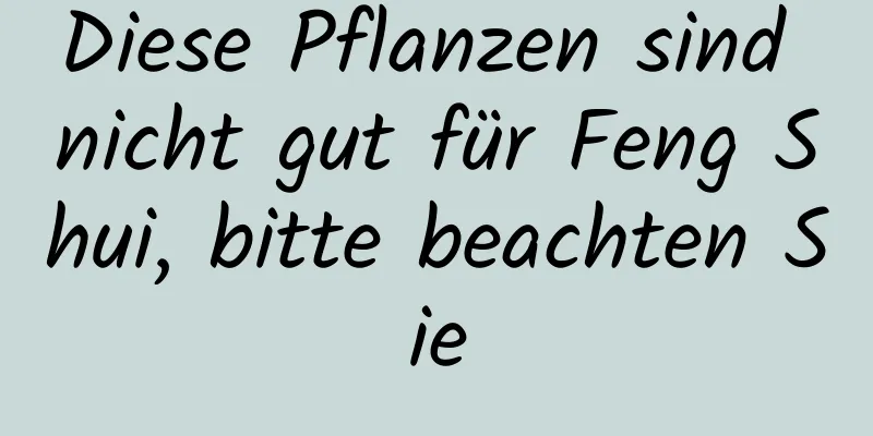 Diese Pflanzen sind nicht gut für Feng Shui, bitte beachten Sie