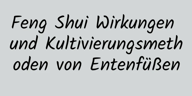 Feng Shui Wirkungen und Kultivierungsmethoden von Entenfüßen