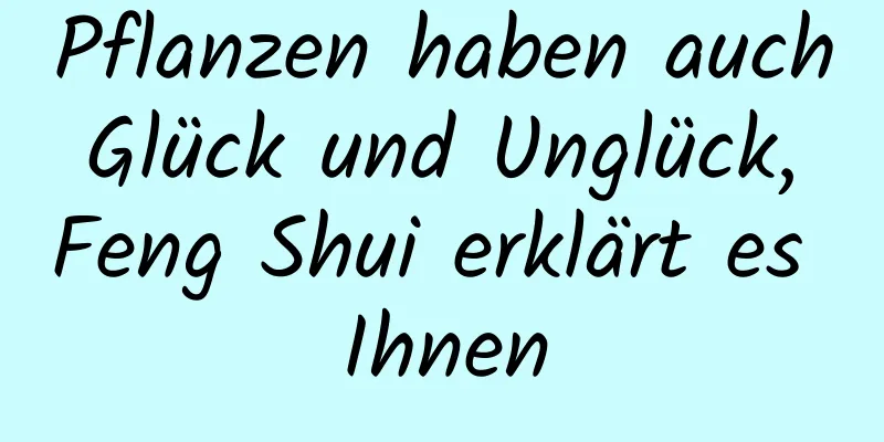 Pflanzen haben auch Glück und Unglück, Feng Shui erklärt es Ihnen