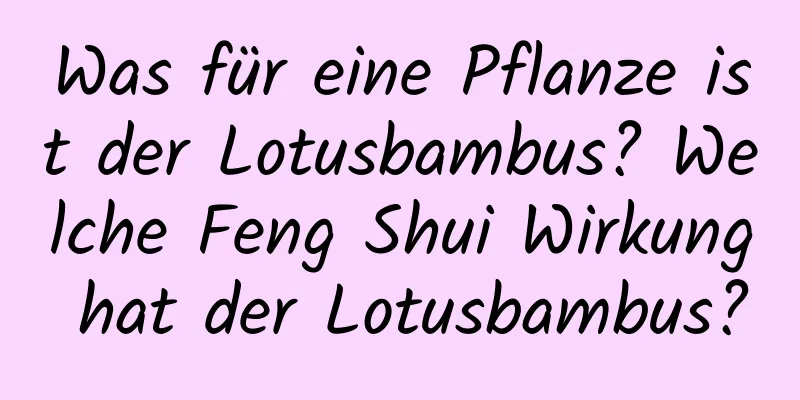 Was für eine Pflanze ist der Lotusbambus? Welche Feng Shui Wirkung hat der Lotusbambus?