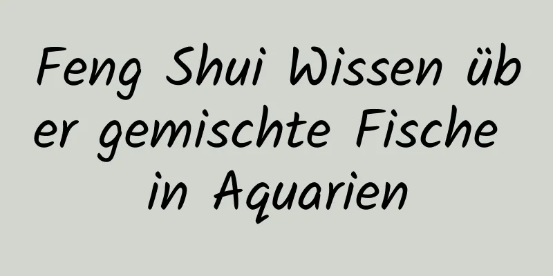 Feng Shui Wissen über gemischte Fische in Aquarien