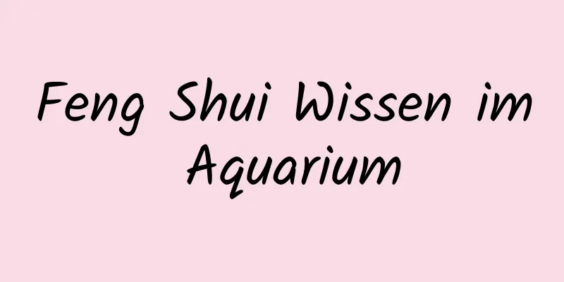 Feng Shui Wissen im Aquarium