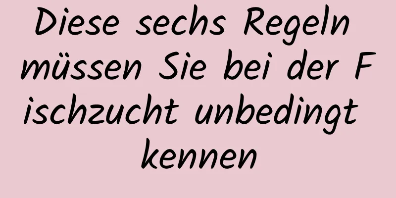 Diese sechs Regeln müssen Sie bei der Fischzucht unbedingt kennen