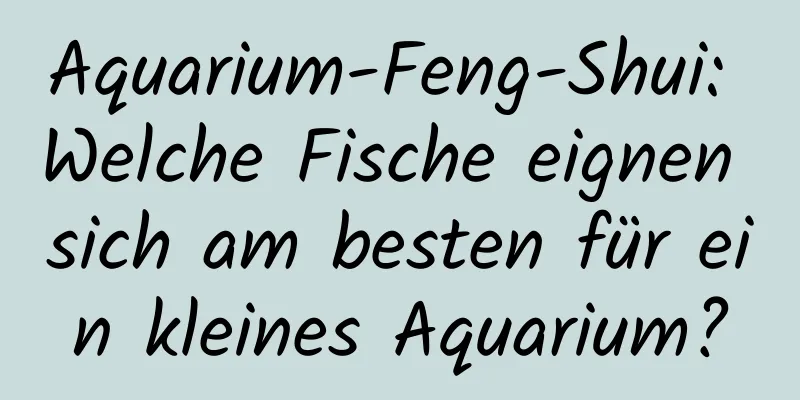 Aquarium-Feng-Shui: Welche Fische eignen sich am besten für ein kleines Aquarium?