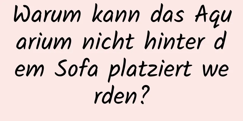 Warum kann das Aquarium nicht hinter dem Sofa platziert werden?