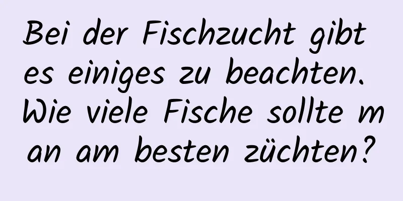 Bei der Fischzucht gibt es einiges zu beachten. Wie viele Fische sollte man am besten züchten?