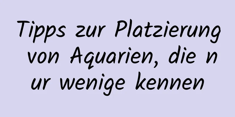 Tipps zur Platzierung von Aquarien, die nur wenige kennen