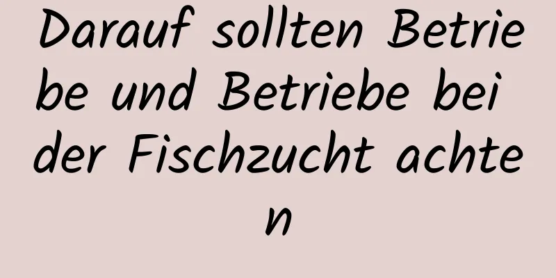 Darauf sollten Betriebe und Betriebe bei der Fischzucht achten