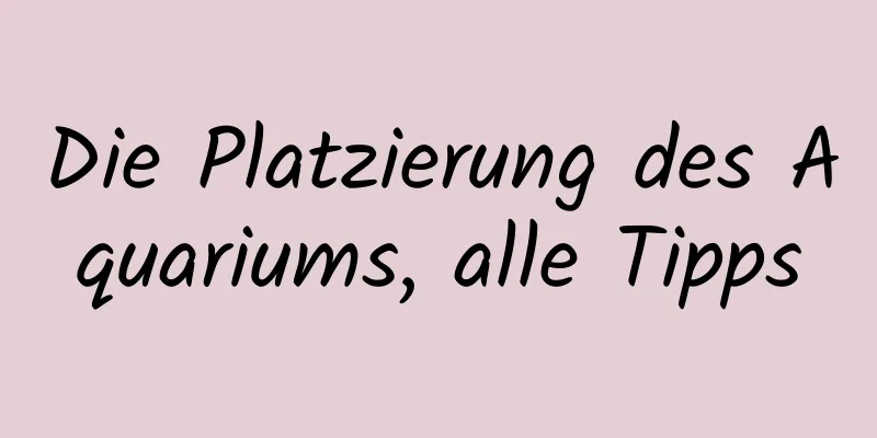 Die Platzierung des Aquariums, alle Tipps