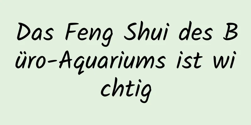 Das Feng Shui des Büro-Aquariums ist wichtig