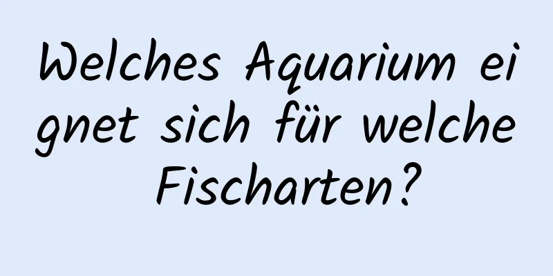 Welches Aquarium eignet sich für welche Fischarten?