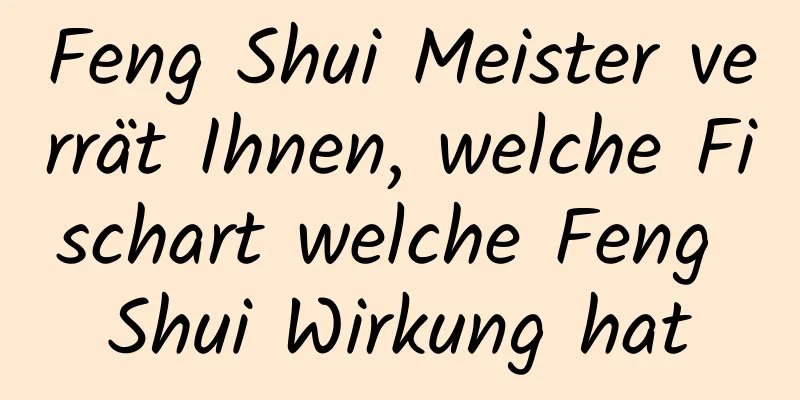 Feng Shui Meister verrät Ihnen, welche Fischart welche Feng Shui Wirkung hat