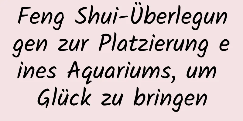 Feng Shui-Überlegungen zur Platzierung eines Aquariums, um Glück zu bringen