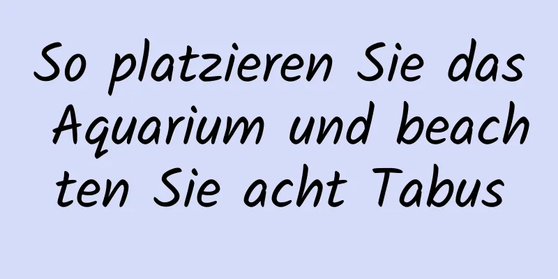 So platzieren Sie das Aquarium und beachten Sie acht Tabus